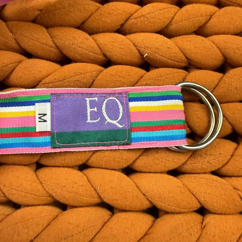 EQ Equestrian Horse Rainbow Stripe Grosgrain Ribbon Belt M Medium Girls